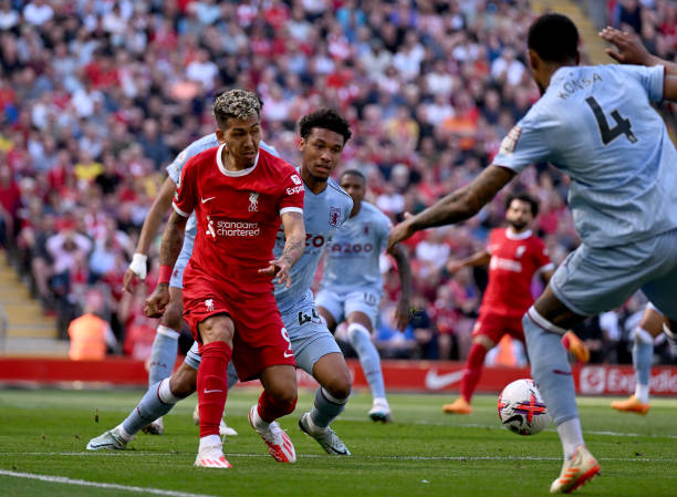 的潜力与雄 的潜力与雄