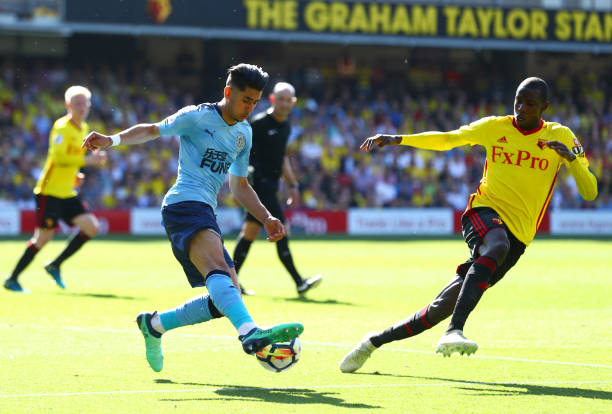 关注的明星 关注的明星